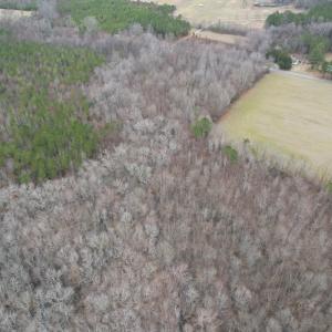 Photo #13 of SOLD property in Off Fortsville Rd, Drewryville, VA 74.0 acres