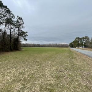 Photo #14 of SOLD property in Off Fortsville Rd, Drewryville, VA 74.0 acres