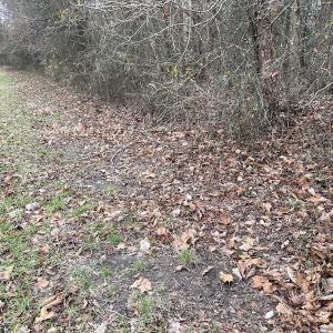 Photo #18 of SOLD property in Off Fortsville Rd, Drewryville, VA 74.0 acres