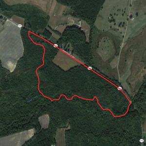Photo #1 of SOLD property in Off Fortsville Rd, Drewryville, VA 74.0 acres