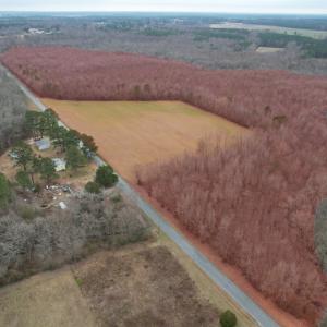 Photo #3 of SOLD property in Off Fortsville Rd, Drewryville, VA 74.0 acres