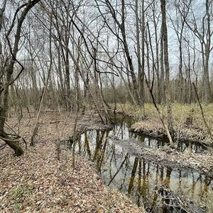 Photo #30 of SOLD property in Off Fortsville Rd, Drewryville, VA 74.0 acres