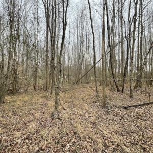 Photo #31 of Off Fortsville Rd, Drewryville, VA 74.0 acres