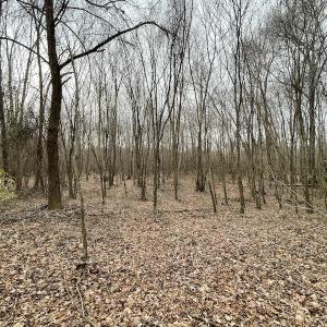 Photo #32 of SOLD property in Off Fortsville Rd, Drewryville, VA 74.0 acres