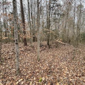 Photo #37 of Off Fortsville Rd, Drewryville, VA 74.0 acres