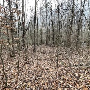 Photo #38 of SOLD property in Off Fortsville Rd, Drewryville, VA 74.0 acres
