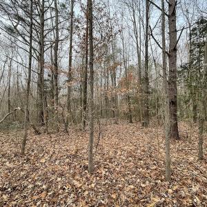 Photo #39 of Off Fortsville Rd, Drewryville, VA 74.0 acres