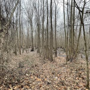 Photo #40 of SOLD property in Off Fortsville Rd, Drewryville, VA 74.0 acres