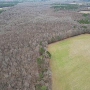 Photo #6 of SOLD property in Off Fortsville Rd, Drewryville, VA 74.0 acres