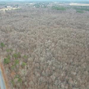 Photo #9 of SOLD property in Off Fortsville Rd, Drewryville, VA 74.0 acres