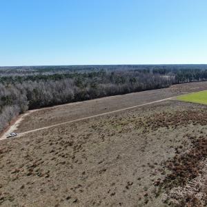 Photo #3 of Off Hwy 308, Galivant's Ferry, SC 102.0 acres