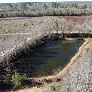 Photo #5 of Off Hwy 308, Galivant's Ferry, SC 102.0 acres