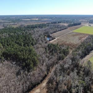 Photo #6 of Off Hwy 308, Galivant's Ferry, SC 102.0 acres