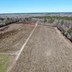 Photo #7 of Off Hwy 308, Galivant's Ferry, SC 102.0 acres