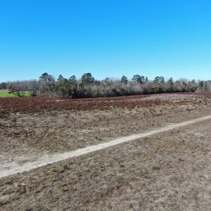 Photo #9 of Off Hwy 308, Galivant's Ferry, SC 102.0 acres