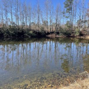 Photo #18 of Off Hwy 308, Galivant's Ferry, SC 102.0 acres