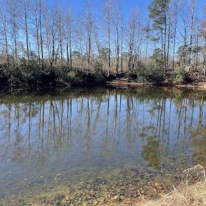 Photo #18 of Off Hwy 308, Galivant's Ferry, SC 102.0 acres