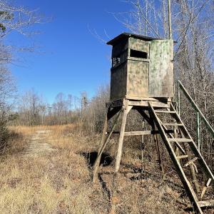 Photo #19 of Off Hwy 308, Galivant's Ferry, SC 102.0 acres