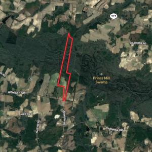 Photo #24 of Off Hwy 308, Galivant's Ferry, SC 102.0 acres