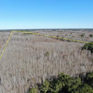 Photo #12 of Off Hwy 308, Galivant's Ferry, SC 102.0 acres