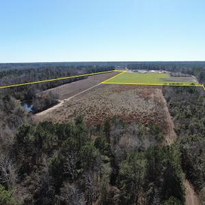 Photo #13 of Off Hwy 308, Galivant's Ferry, SC 102.0 acres