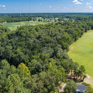 Photo #16 of SOLD property in Off Henderson Road  , Trenton, NC 31.5 acres