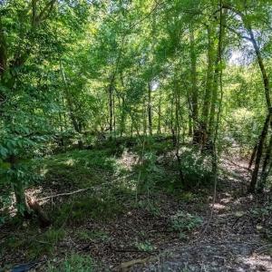 Photo #23 of SOLD property in Off Henderson Road  , Trenton, NC 31.5 acres