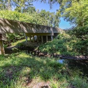 Photo #24 of SOLD property in Off Henderson Road  , Trenton, NC 31.5 acres