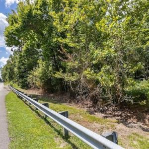 Photo #26 of SOLD property in Off Henderson Road  , Trenton, NC 31.5 acres