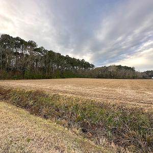 Photo #12 of SOLD property in Off Franktown Rd , Franktown, VA 10.0 acres