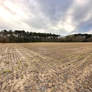 Photo #13 of SOLD property in Off Franktown Rd , Franktown, VA 10.0 acres