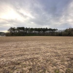 Photo #14 of SOLD property in Off Franktown Rd , Franktown, VA 10.0 acres