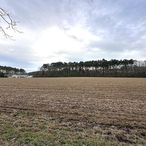 Photo #15 of SOLD property in Off Franktown Rd , Franktown, VA 10.0 acres