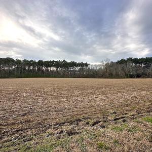 Photo #16 of SOLD property in Off Franktown Rd , Franktown, VA 10.0 acres