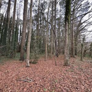 Photo #20 of SOLD property in Off Franktown Rd , Franktown, VA 10.0 acres