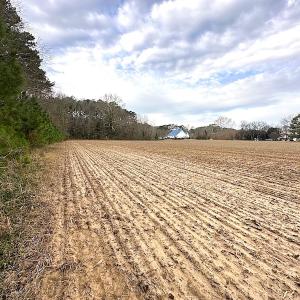 Photo #22 of SOLD property in Off Franktown Rd , Franktown, VA 10.0 acres