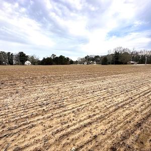 Photo #23 of SOLD property in Off Franktown Rd , Franktown, VA 10.0 acres