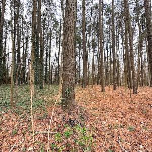 Photo #25 of SOLD property in Off Franktown Rd , Franktown, VA 10.0 acres