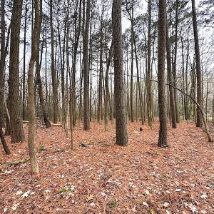Photo #26 of SOLD property in Off Franktown Rd , Franktown, VA 10.0 acres
