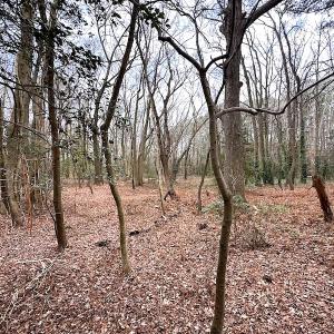 Photo #28 of SOLD property in Off Franktown Rd , Franktown, VA 10.0 acres