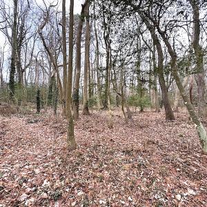 Photo #29 of SOLD property in Off Franktown Rd , Franktown, VA 10.0 acres