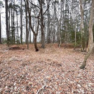 Photo #30 of SOLD property in Off Franktown Rd , Franktown, VA 10.0 acres