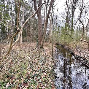 Photo #31 of SOLD property in Off Franktown Rd , Franktown, VA 10.0 acres