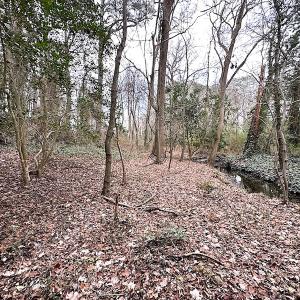 Photo #32 of SOLD property in Off Franktown Rd , Franktown, VA 10.0 acres