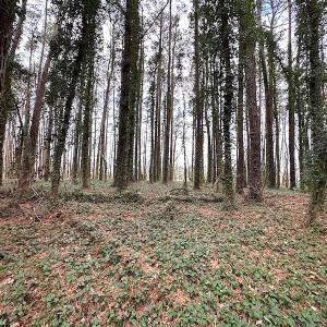 Photo #34 of SOLD property in Off Franktown Rd , Franktown, VA 10.0 acres