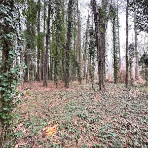 Photo #35 of SOLD property in Off Franktown Rd , Franktown, VA 10.0 acres