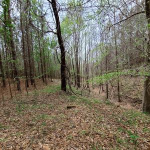 Photo #5 of Off Walnut Creek Lane , Danville, VA 126.0 acres