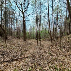 Photo #7 of Off Walnut Creek Lane , Danville, VA 126.0 acres