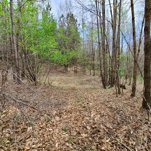 Photo #8 of Off Walnut Creek Lane , Danville, VA 126.0 acres