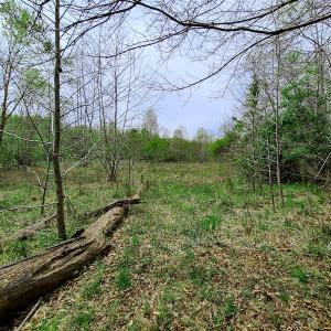 Photo #9 of Off Walnut Creek Lane , Danville, VA 126.0 acres